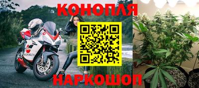 индика Кунгур