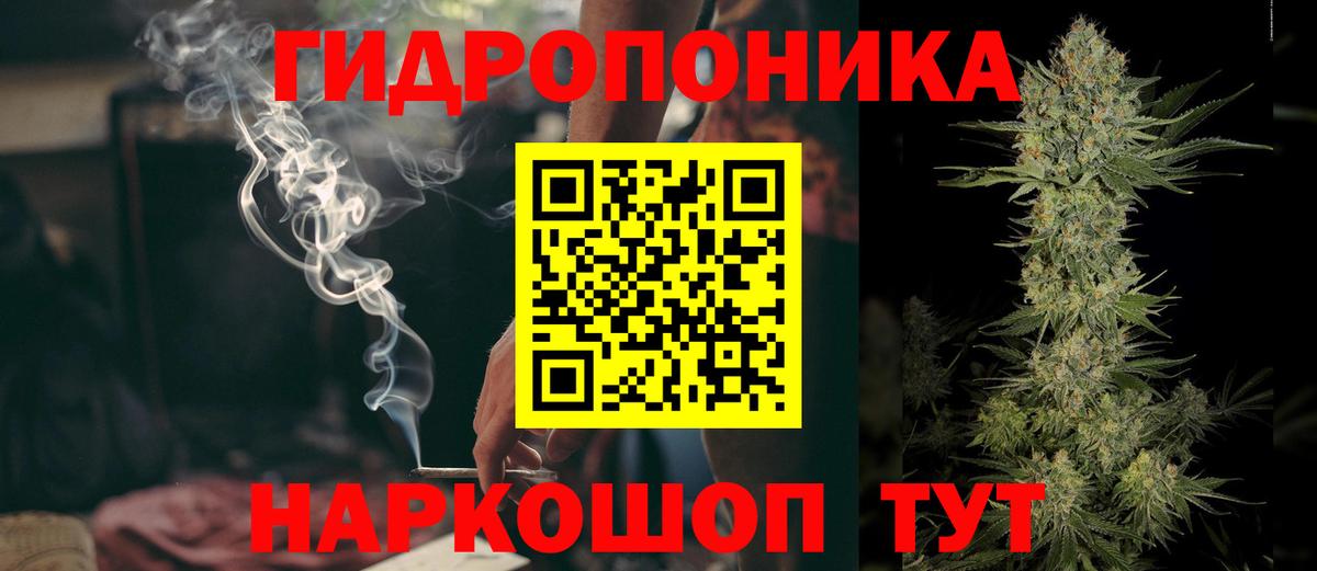 Шишки марихуана конопля  МАРИХУАНА Amnesia  Благовещенск  МАРИХУАНА White Widow  Вход с VPN  Конопля марихуана 